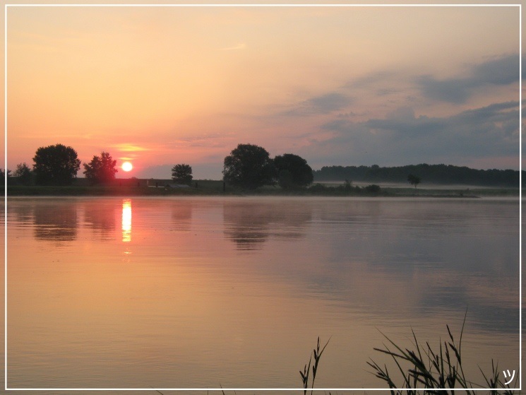 Morning Sunrise - Elbe - 2014 | Photo by stelan.